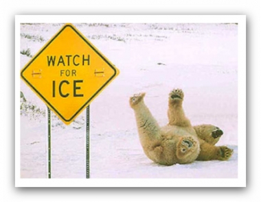 Eiskralle für Gehstöcke 1st