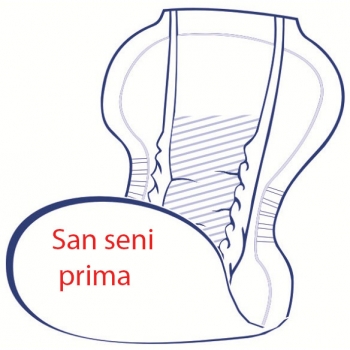 Preview: San Seni Prima 4 x 30 Stück je Karton